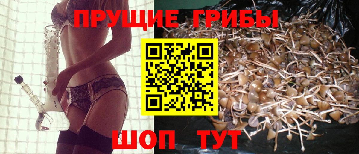 Пыть-Ях  Галлюциногенные грибы GOLDEN TEACHER  Вход с VPN 